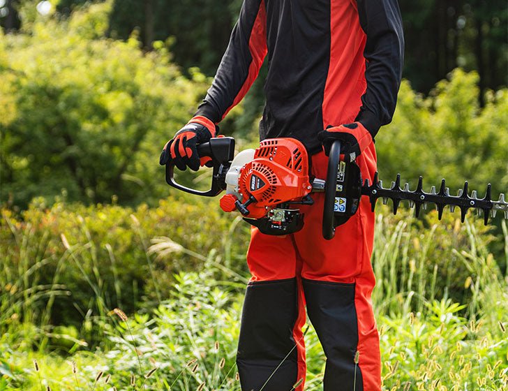 HC - 2020R fra ECHO - AV - Larsen