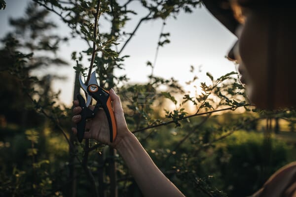 Fiskars Plus PowerLever P721 Beskæresaks med sideskær