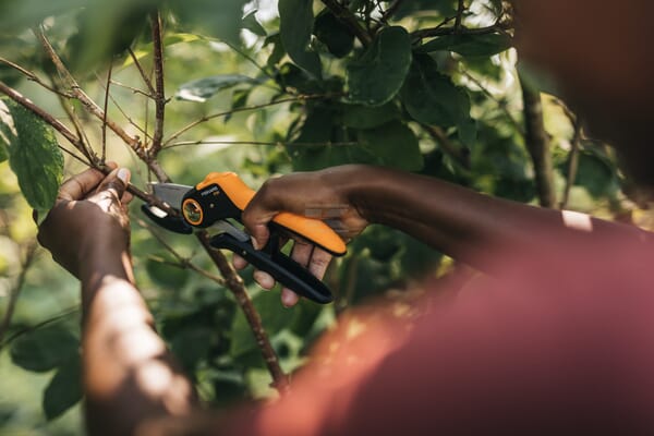 Fiskars Plus PowerLever Beskæresaks P741