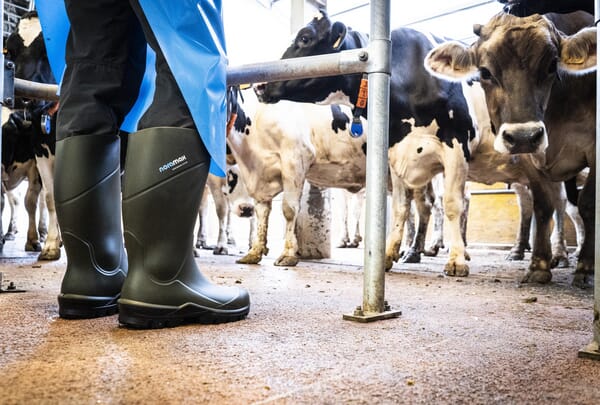 NoraMax Agri O4 Støvle – Komfortabel O4 sikkerhedsstøvle