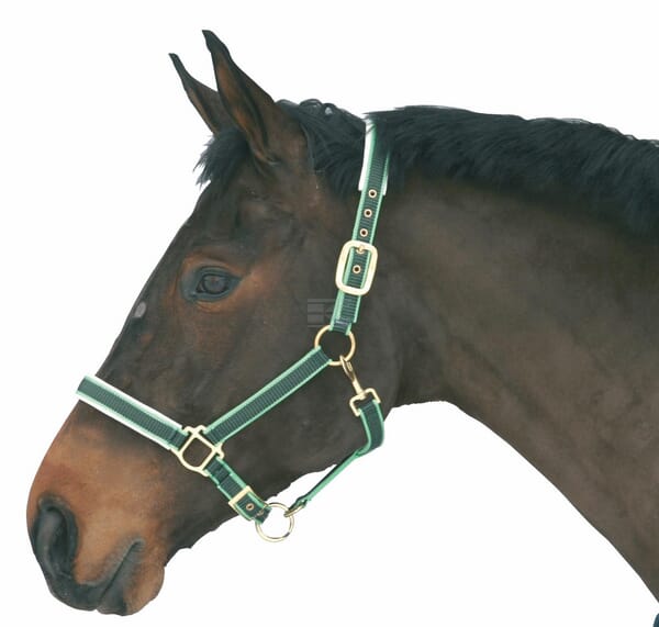 Hestegrime Nylon Exclusiv Cob Grøn