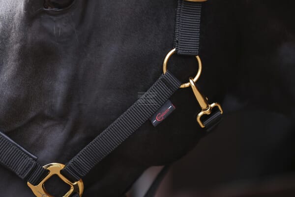 Topline Grime til pony, sort