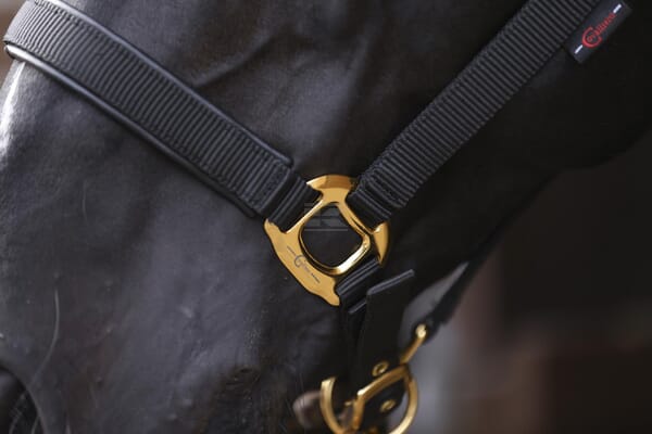 Topline Grime til pony, sort