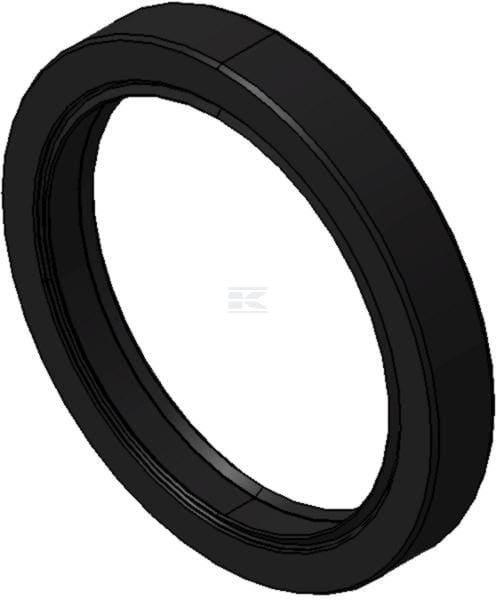 Ring 55