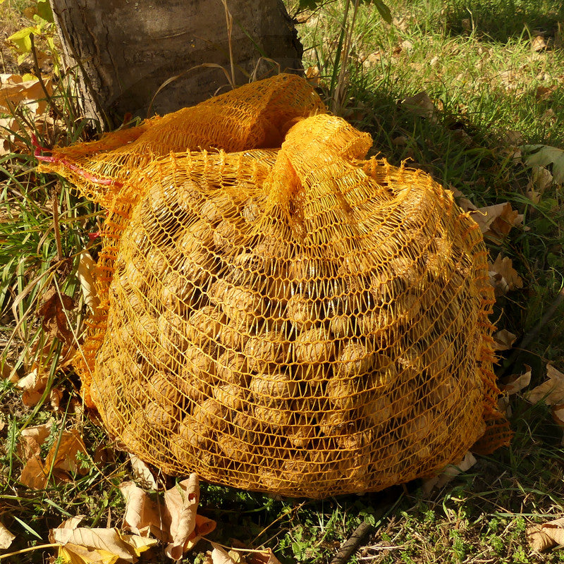 GRANIT Kartoffel-sæk 10stk 25kg