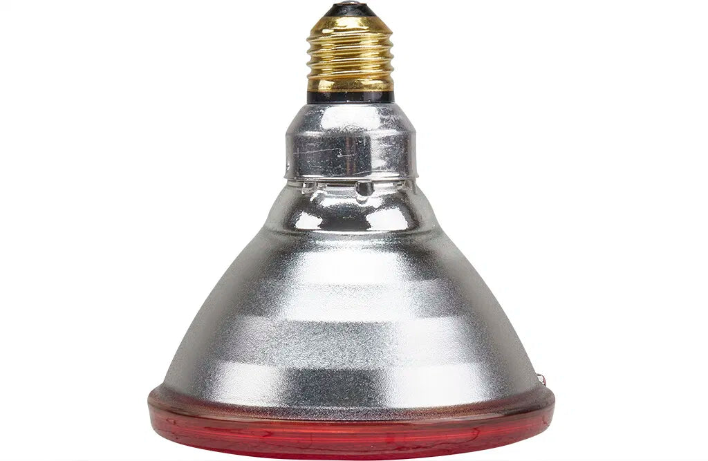 Varmepærer, 100W - lavenergi