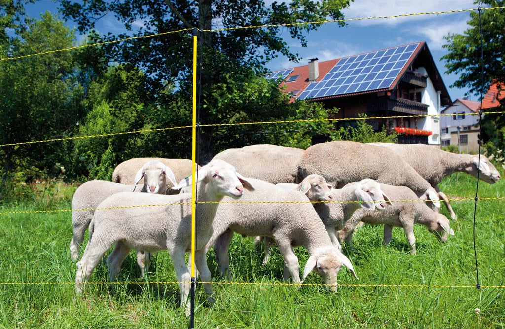 Fårehegn, Easynet