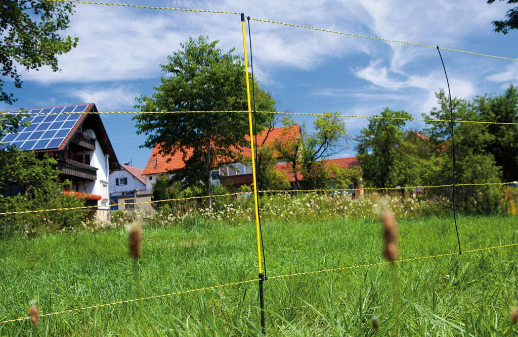 Fårehegn, Easynet