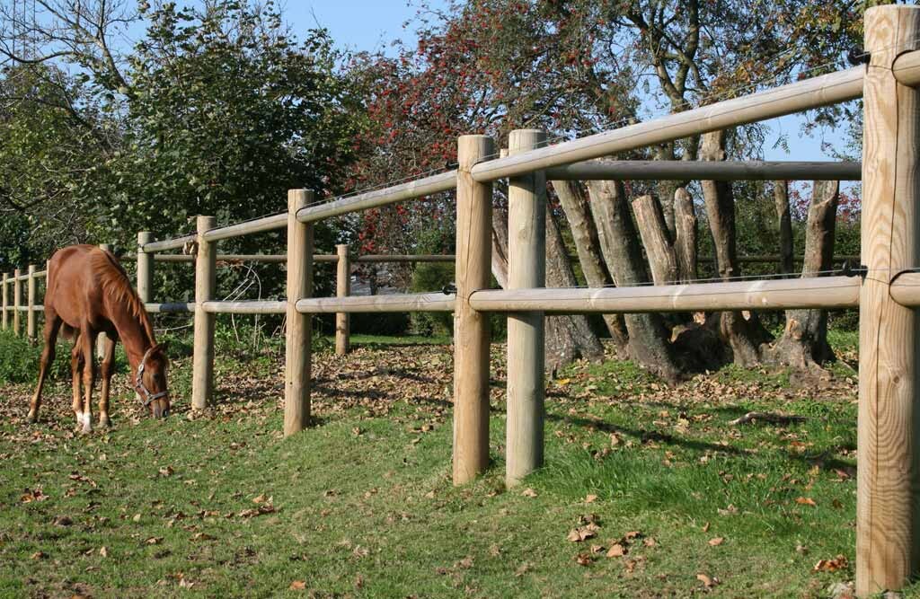 Ridebanehegn