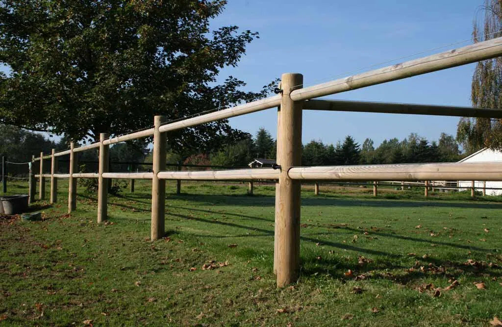 Ridebanehegn