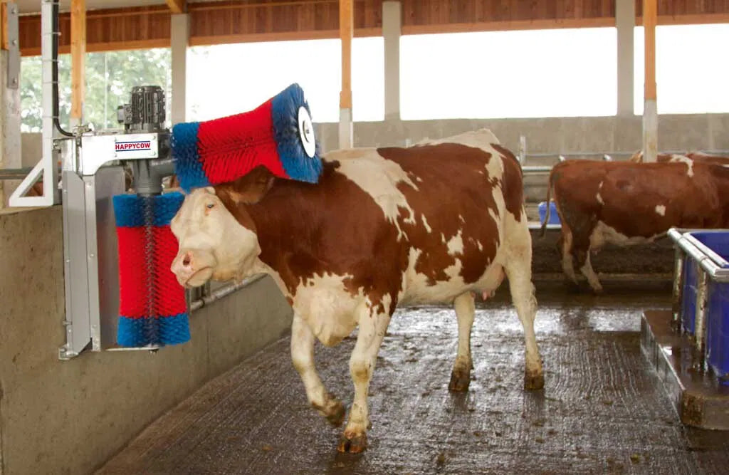 Kobørste, HappyCow Duo