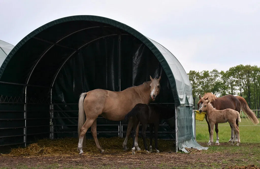 Læskur, 3 x 3 x 2,8 m, med åbne sider