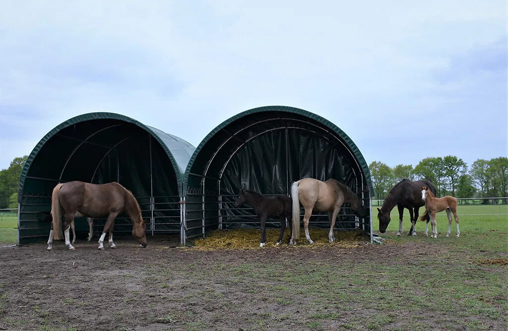 Læskur, 4 x 4 x 3,15 m, med åbne sider