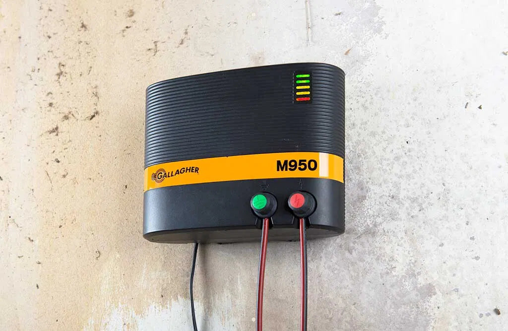 Elhegn, M950