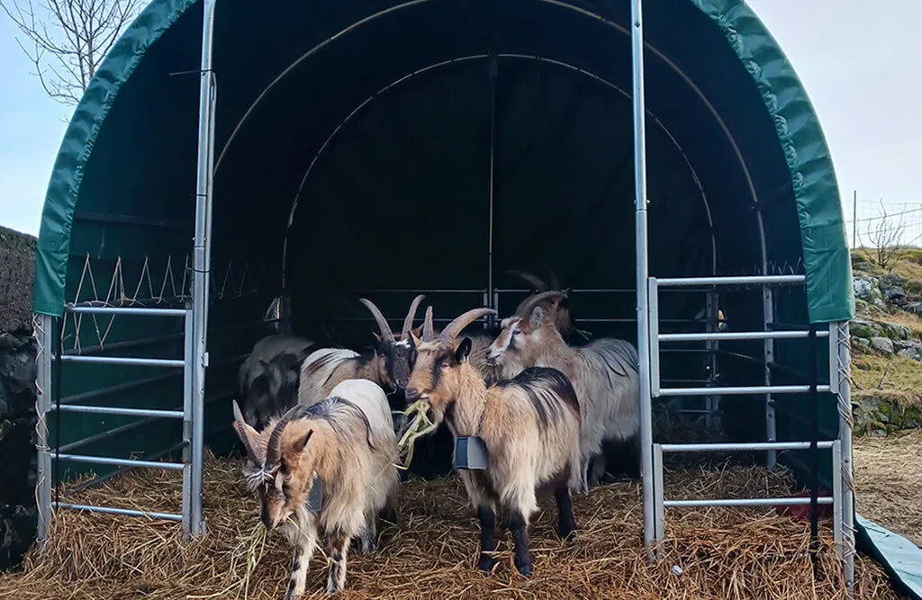Læskur, 3 x 3 x 2,8 m, med åbne sider