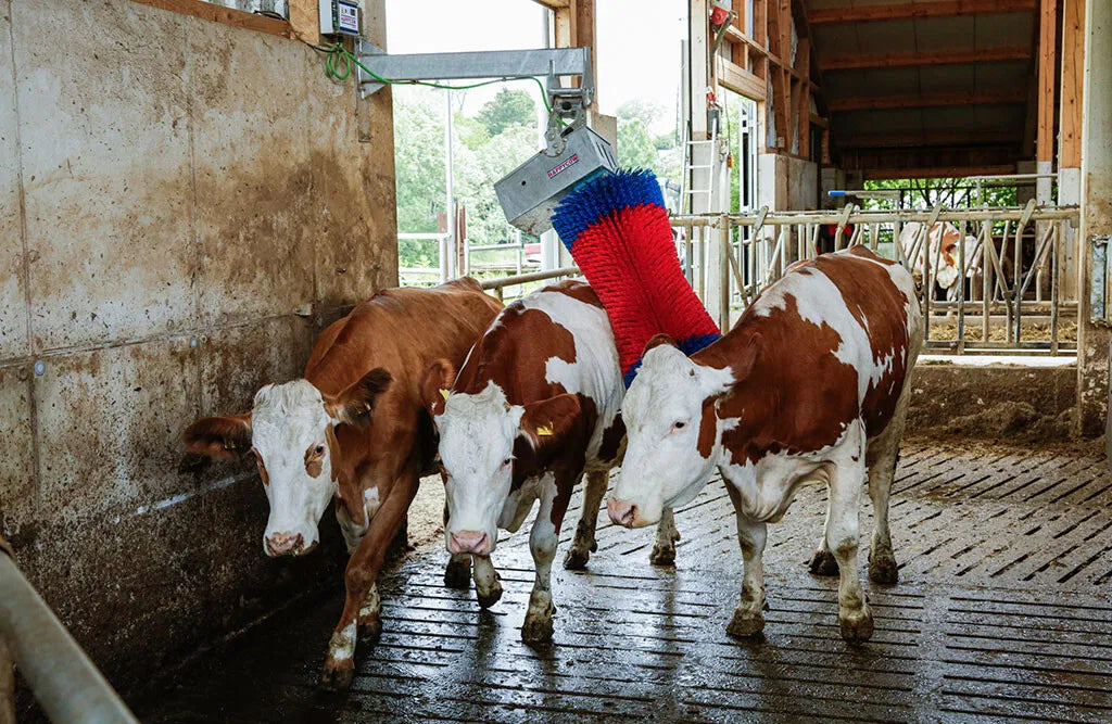 Kobørste, HappyCow Maxiswing
