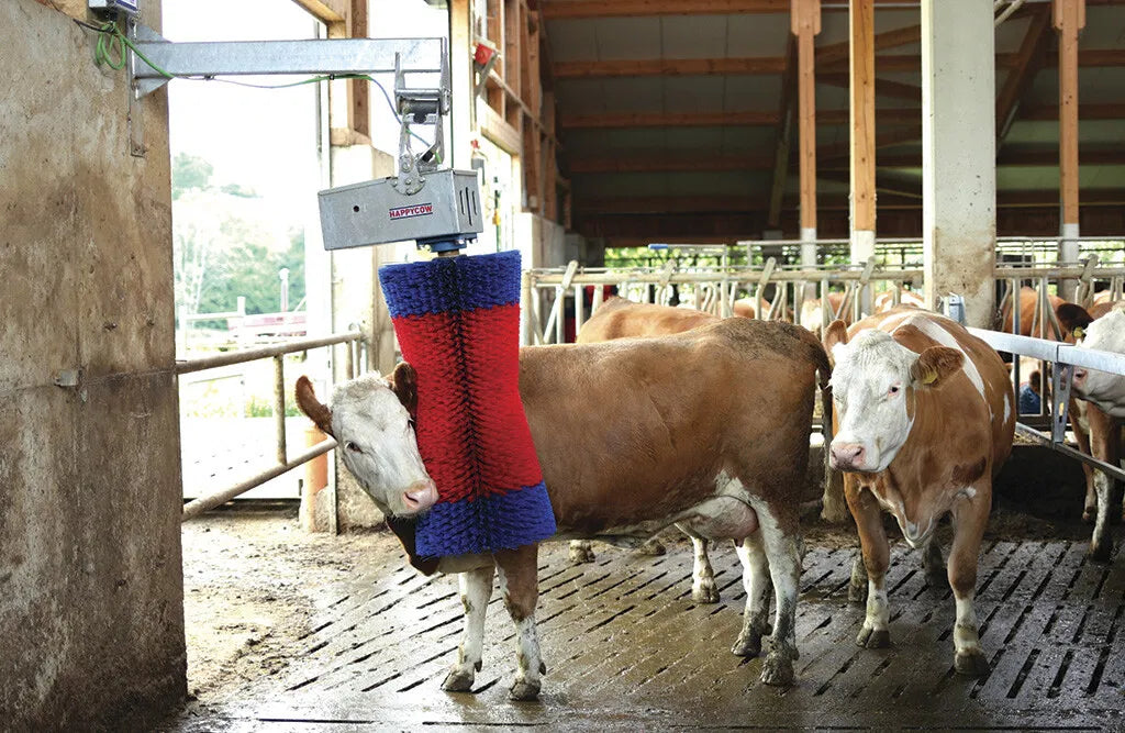 Kobørste, HappyCow Maxiswing