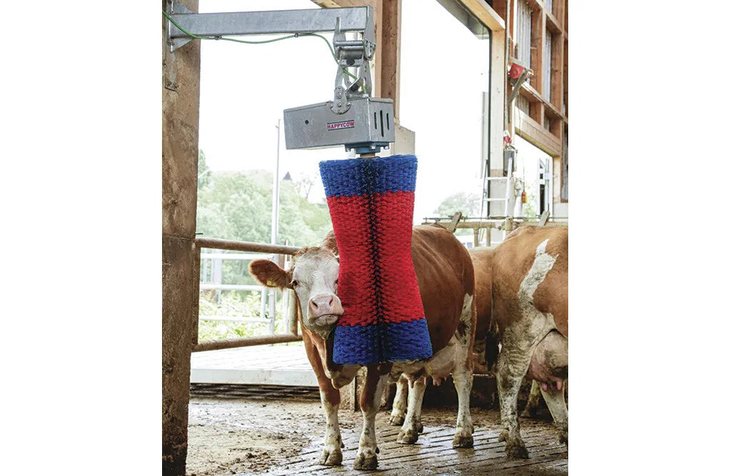 Kobørste, HappyCow Maxiswing