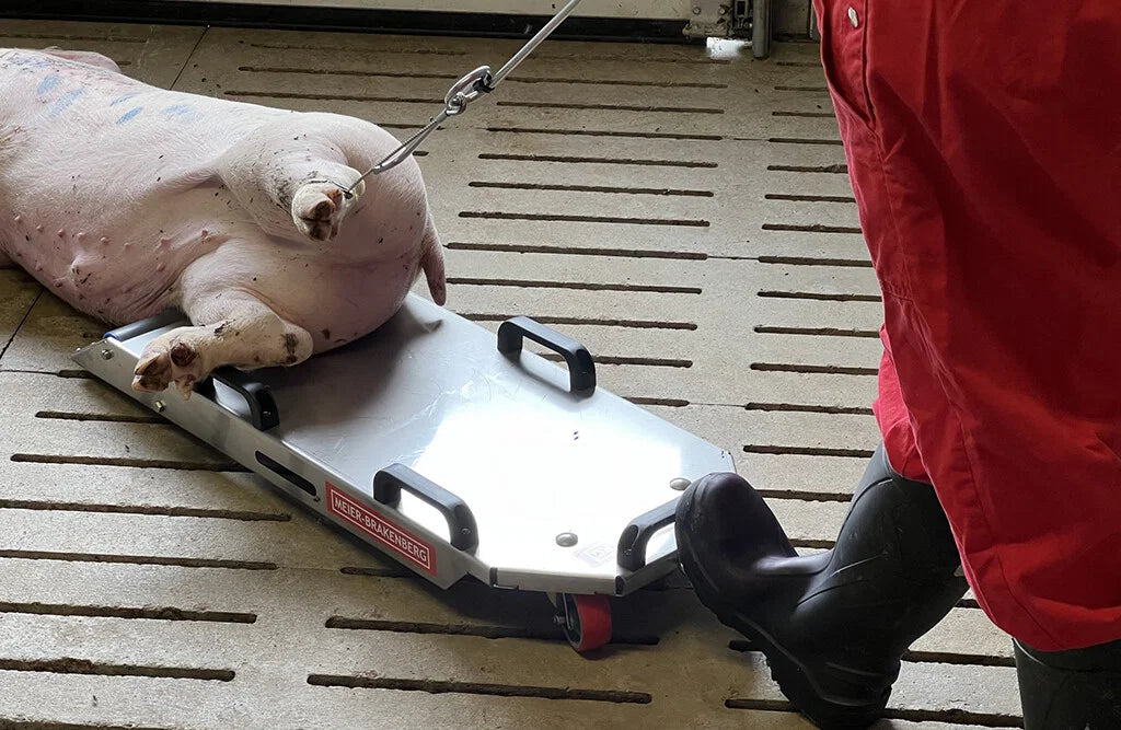 Kadavervogn, Transporker