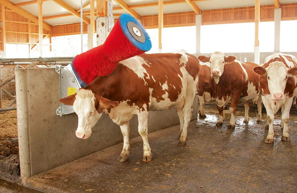 HappyCow kobørste, Uno