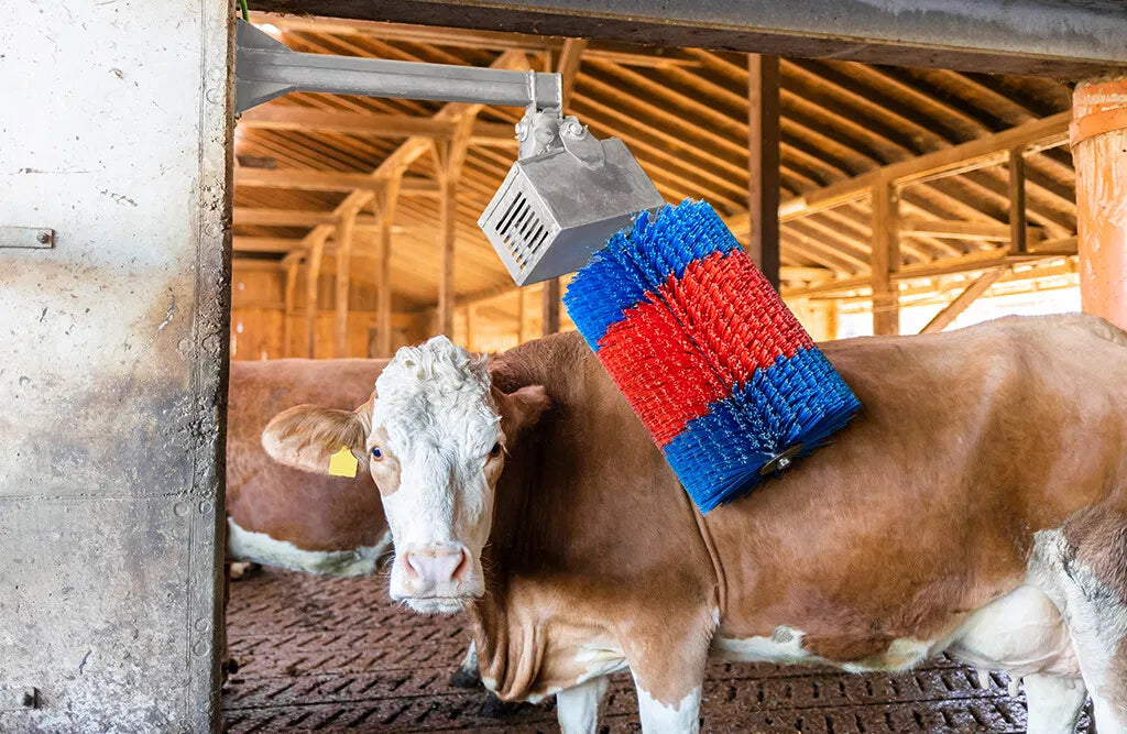 HappyCow kobørste, Midiswing