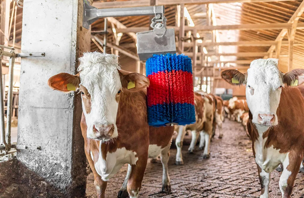 HappyCow kobørste, Midiswing