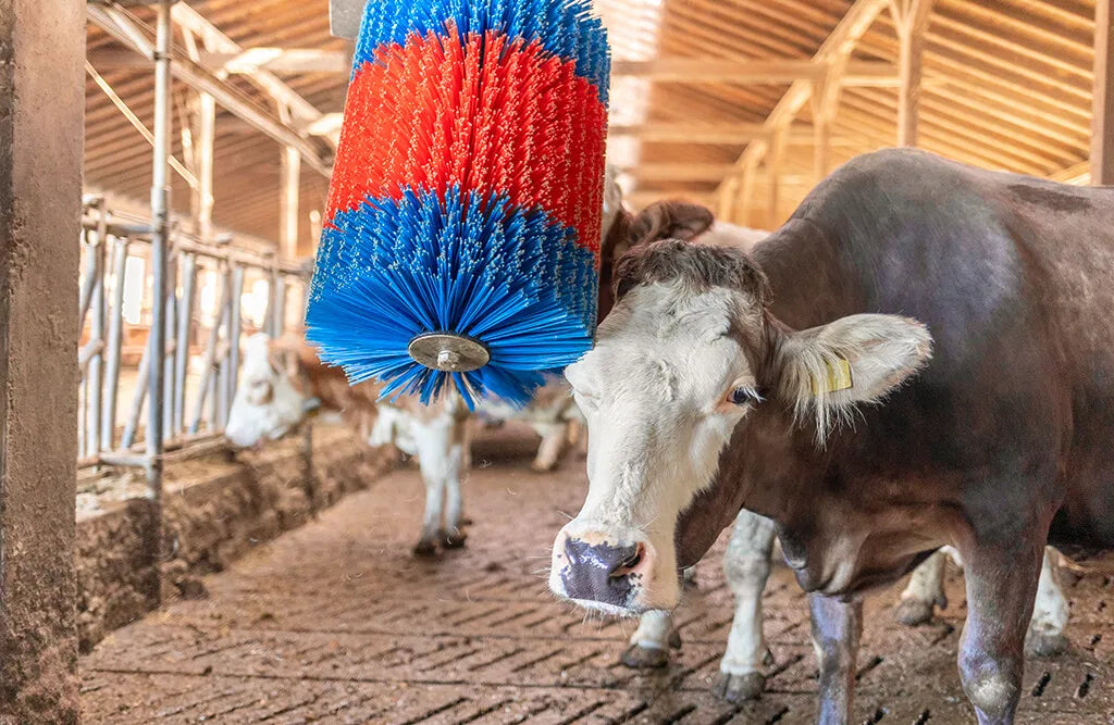 HappyCow kobørste, Midiswing