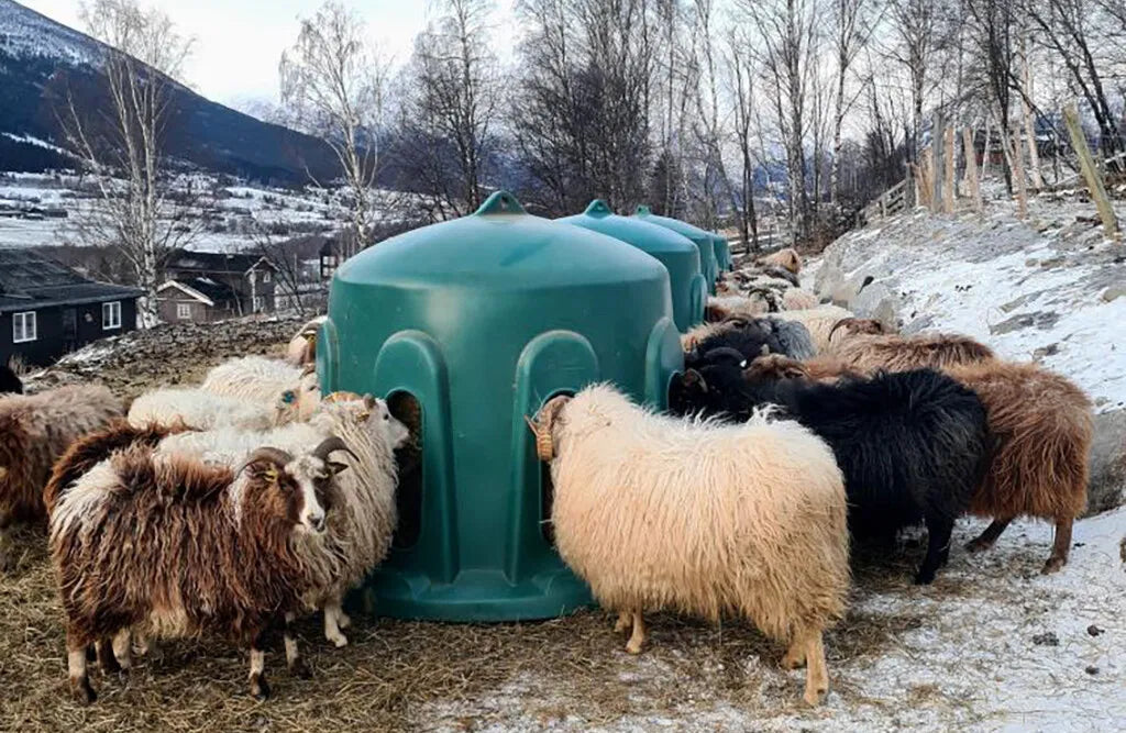 Høklokke til får, 8 ædepladser