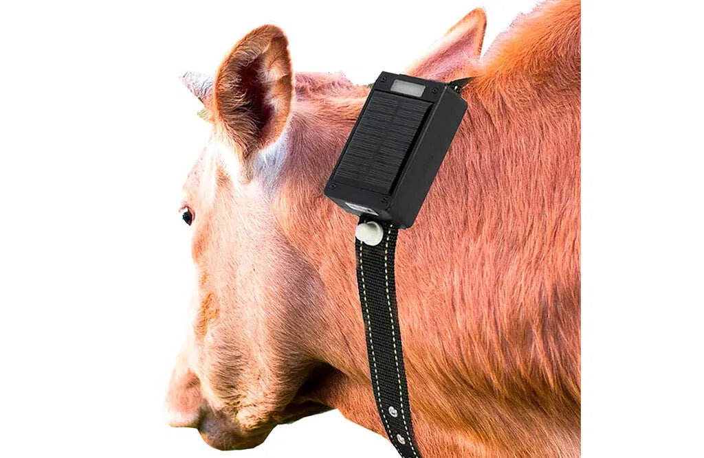 GPS tracker til husdyr, med solceller