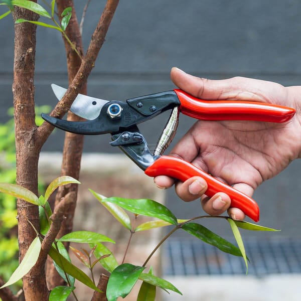 Felco Beskæresaks 5 – Robust og alsidig