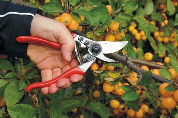 Felco 9 Beskæresaks – Ergonomisk og Robust