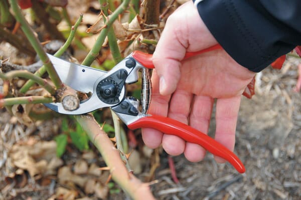 Felco 11 Beskæresaks – Ergonomisk og Robust