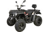Linhai_ATV_M210_T3A_11
