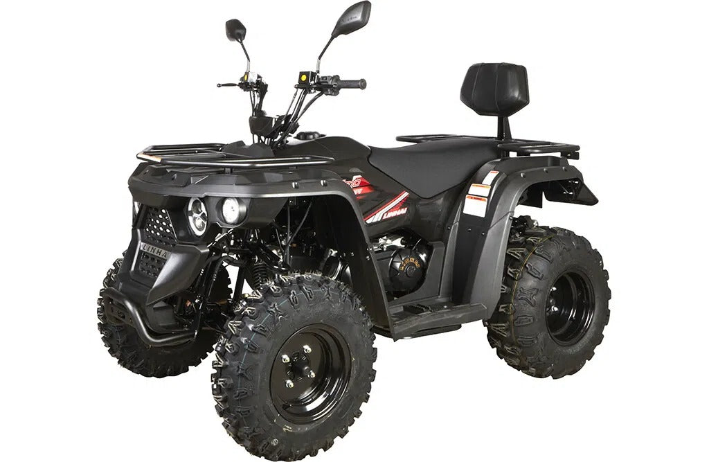 Linhai_ATV_M210_T3A_11