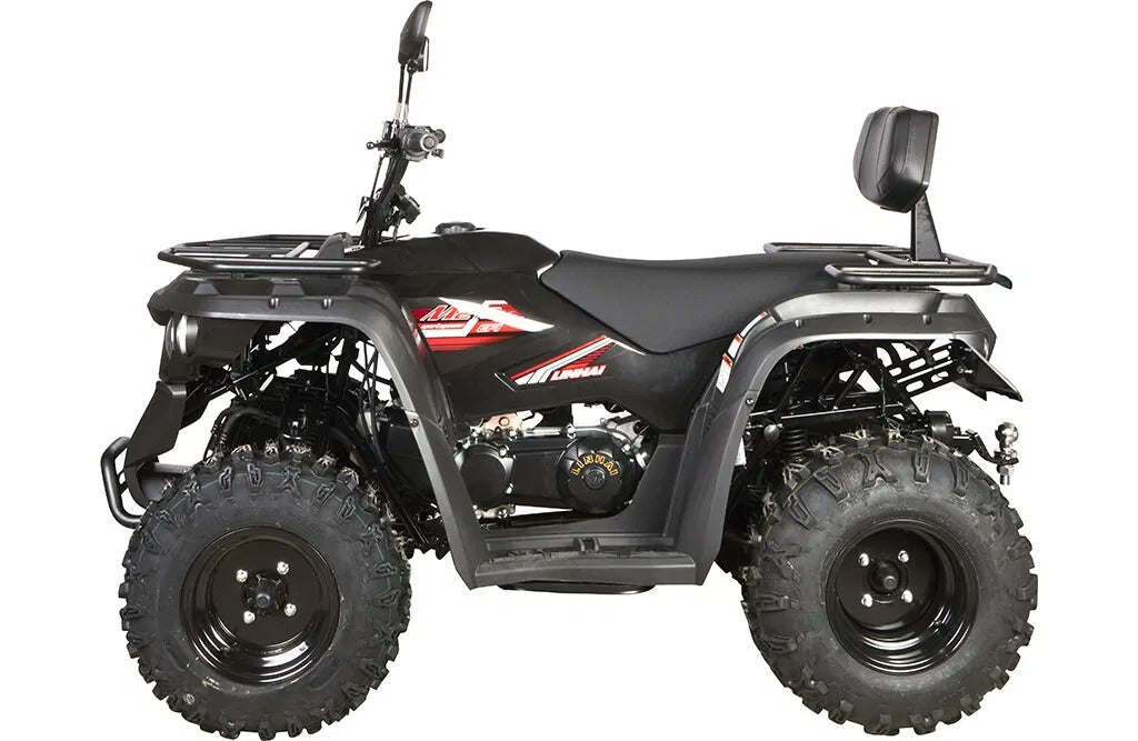 Linhai_ATV_M210_T3A_17
