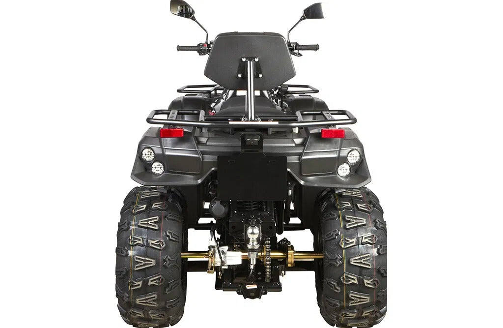 Linhai_ATV_M210_T3A_19