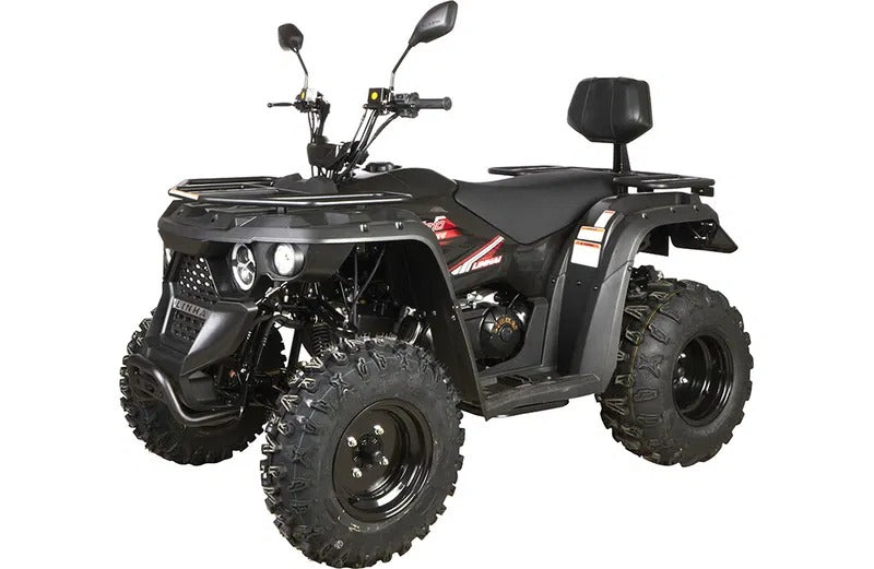 Linhai_ATV_M210_T3A_4