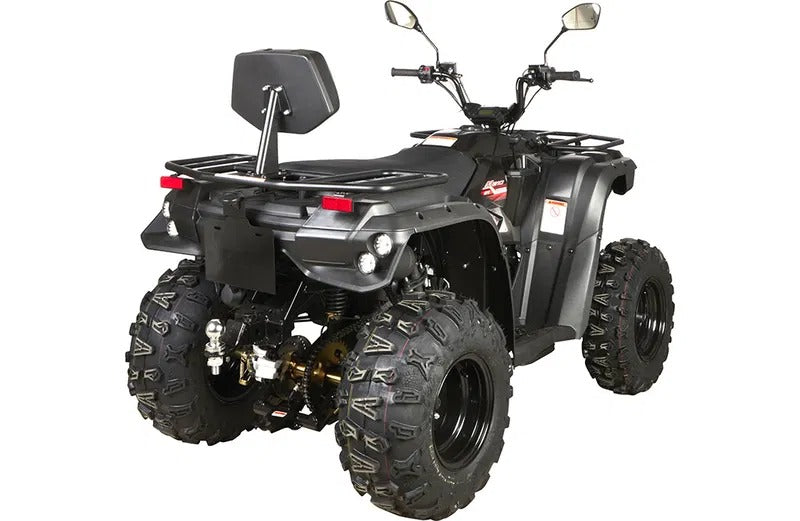 Linhai_ATV_M210_T3A_8