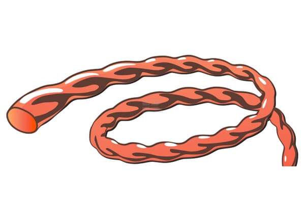 Vortex Nylonsnøre 2,7 mm 56 m Twist Alu til Trimmere