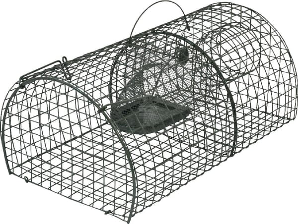 SuperCat Rottefælde 40x24x18cm Flerfangst