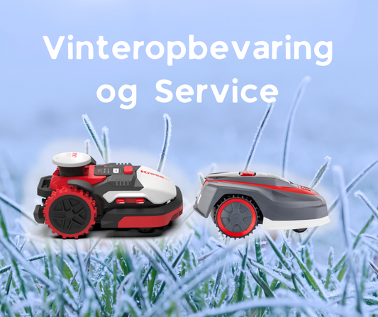 Vinteropbevaring & Service