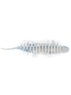 Westin Needle Bug Garlic/Cheese 5stk. fra Westin - AV - Larsen